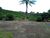 Sítio, 22 hectares - Foto 4