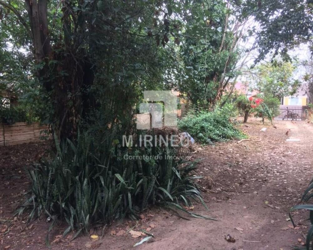 Terreno, 7707 m² - Foto 7