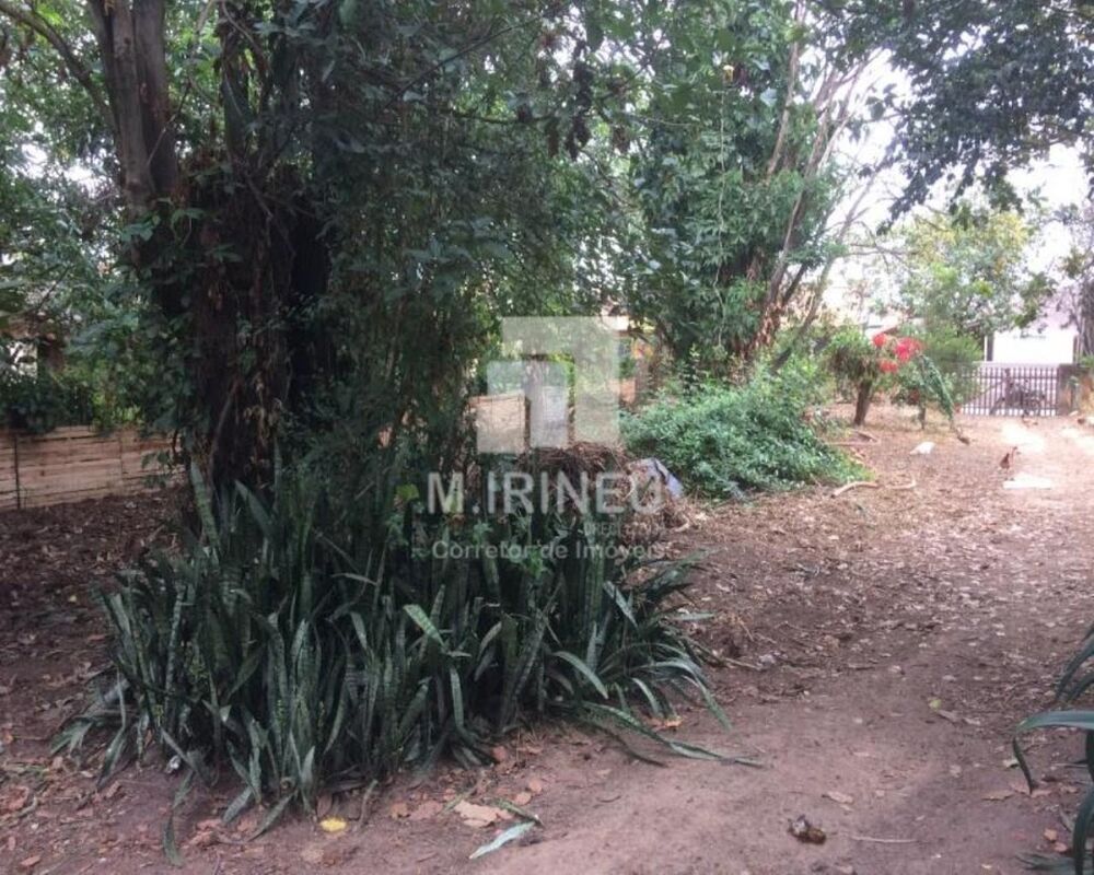 Terreno, 7707 m² - Foto 6