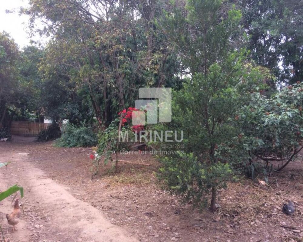 Terreno, 7707 m² - Foto 8