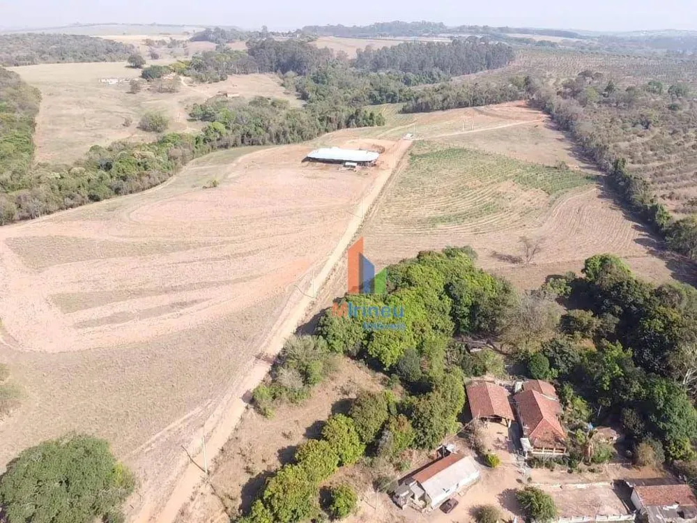 Sítio, 10 hectares - Foto 7
