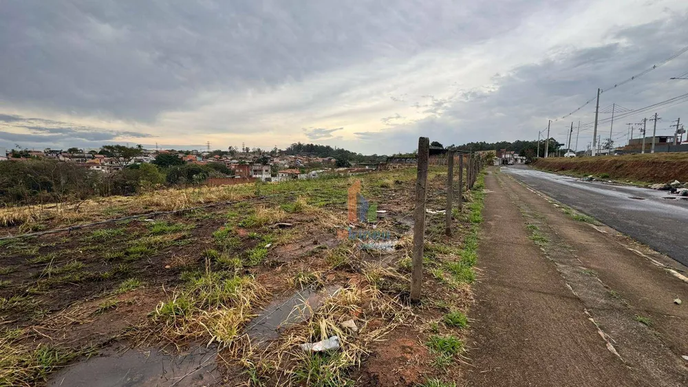Terreno, 4859 m² - Foto 4
