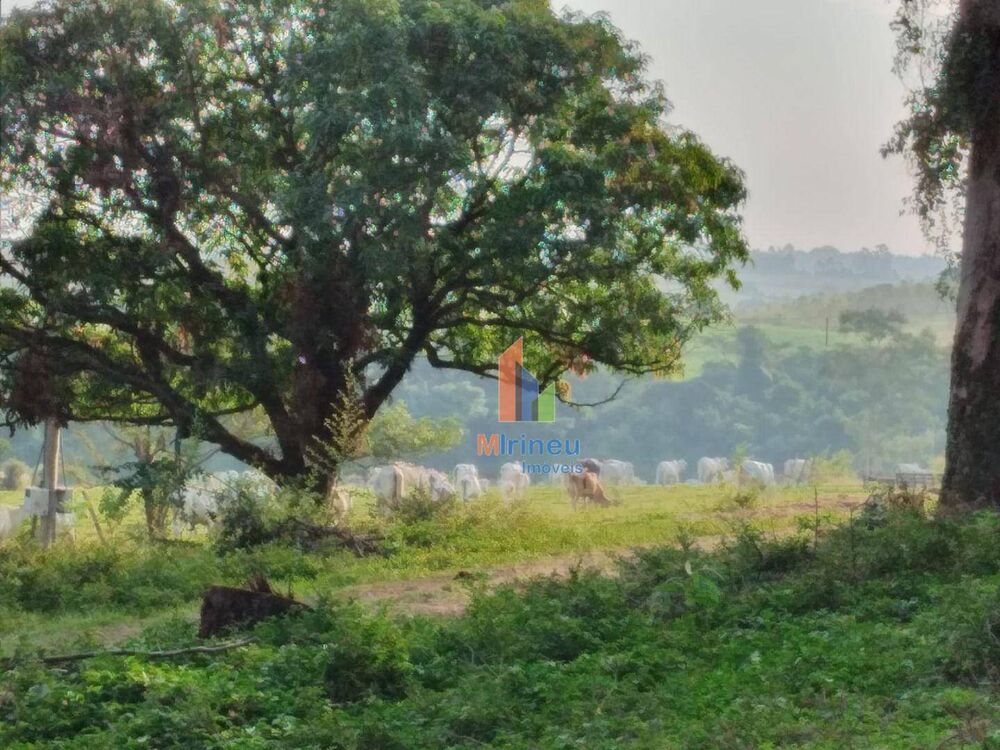 Terreno, 4 hectares - Foto 1