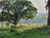 Terreno, 4 hectares - Foto 1