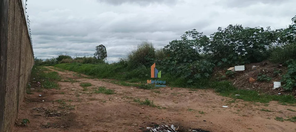 Terreno, 3 hectares - Foto 9