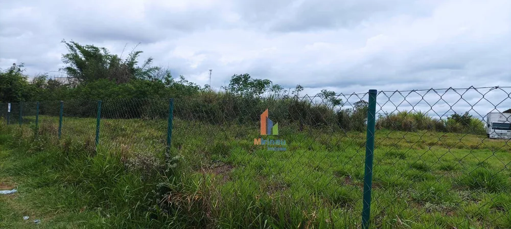 Terreno, 3 hectares - Foto 13