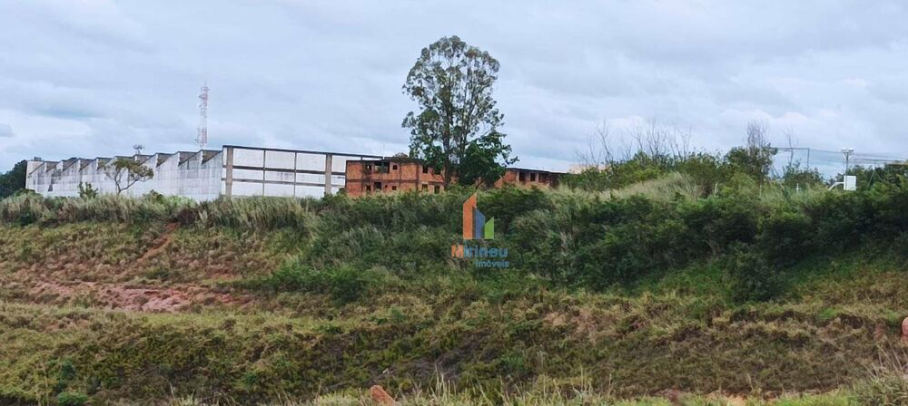 Terreno, 3 hectares - Foto 6