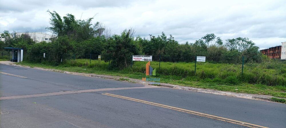 Terreno, 3 hectares - Foto 7