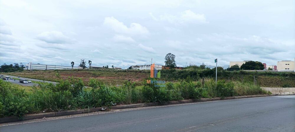 Terreno, 3 hectares - Foto 4