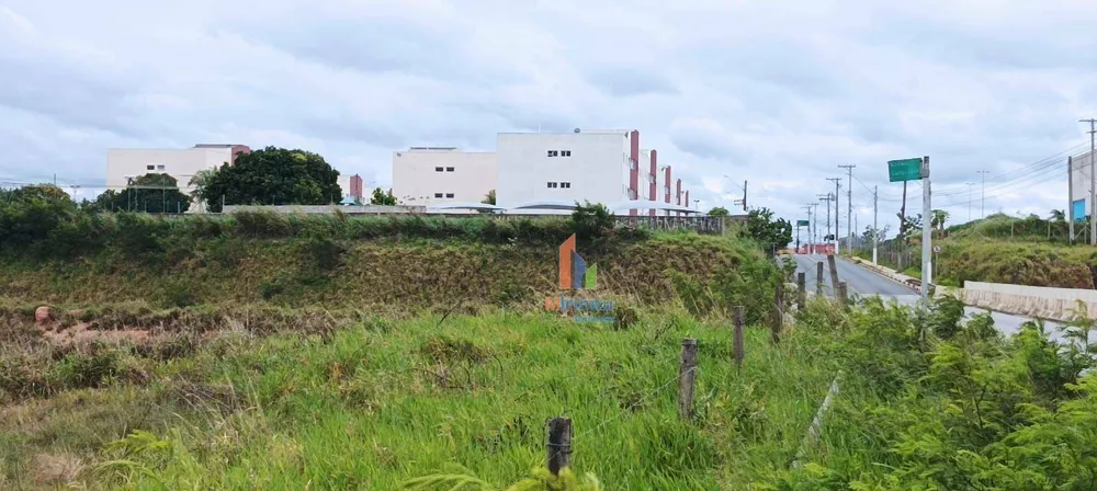Terreno, 3 hectares - Foto 7