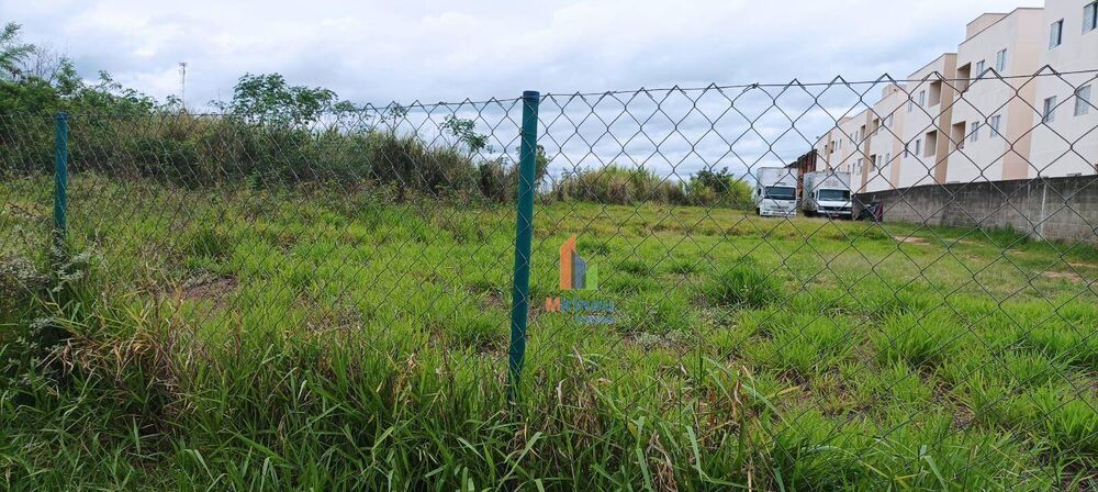 Terreno, 3 hectares - Foto 8