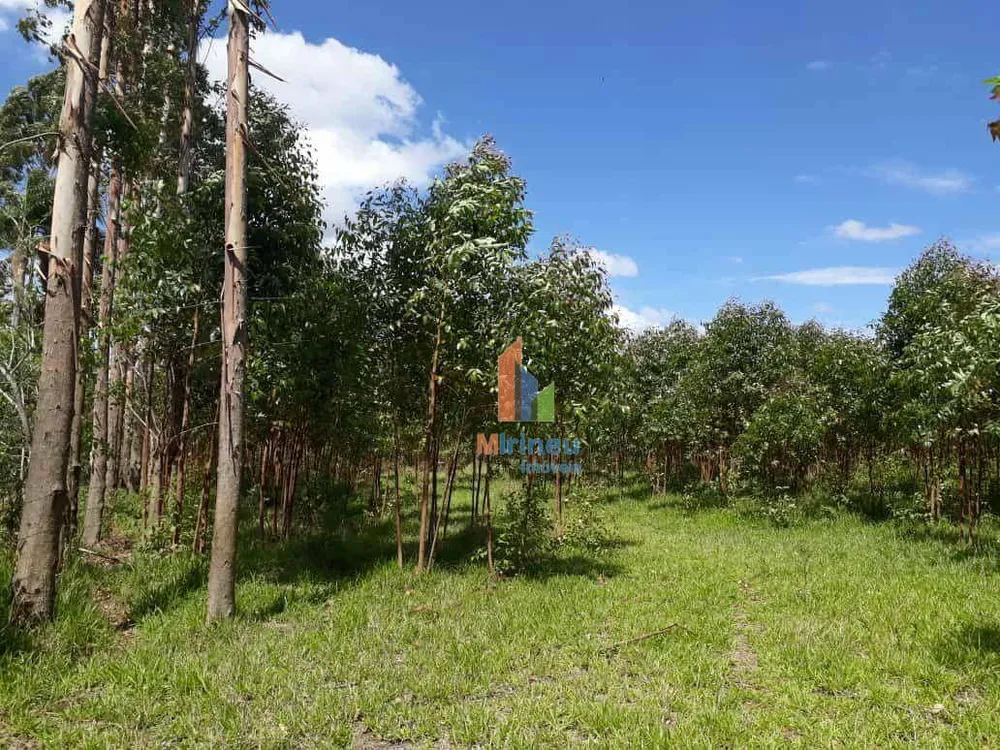Sítio, 6 hectares - Foto 1