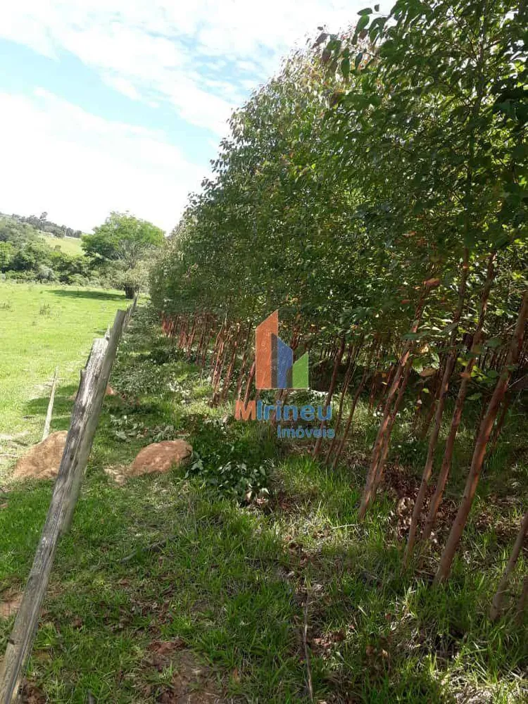Sítio, 6 hectares - Foto 8