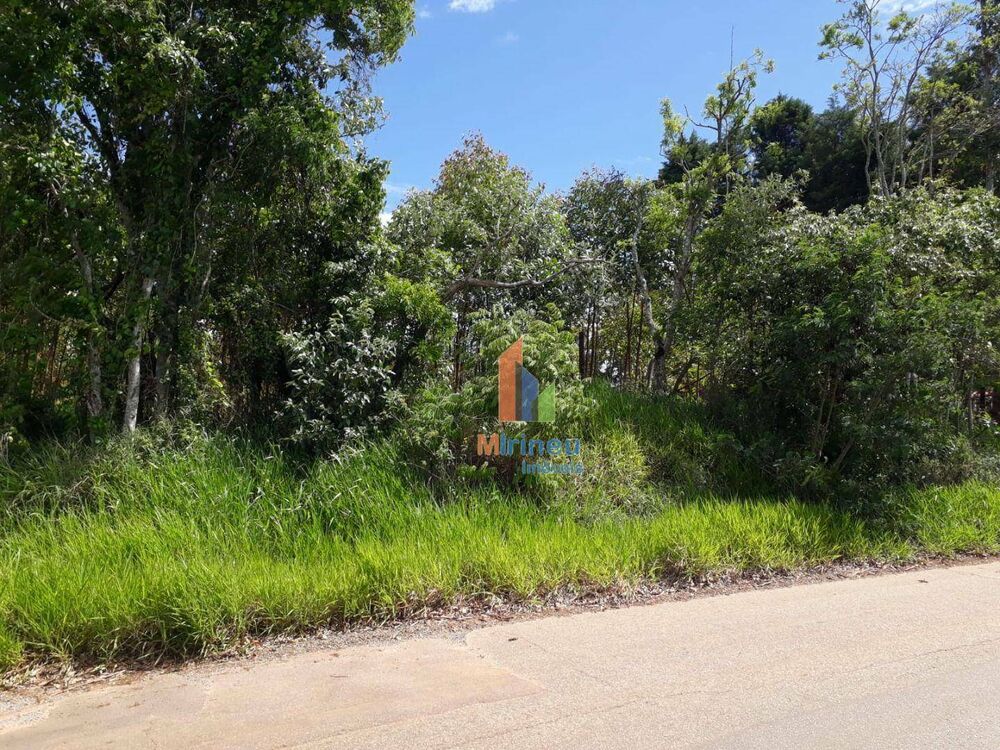 Sítio, 6 hectares - Foto 3