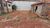 Terreno, 250 m² - Foto 2