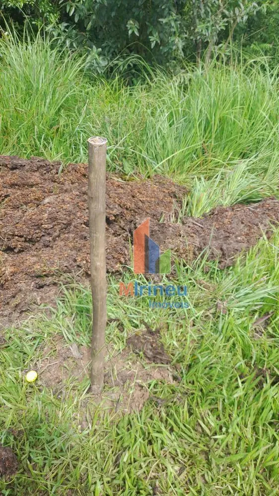 Terreno, 8 hectares - Foto 8