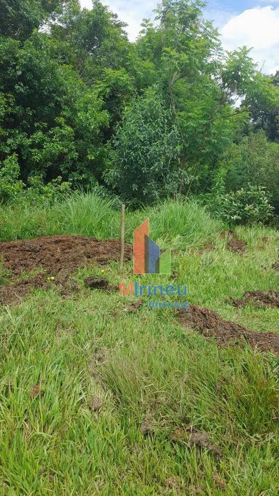Terreno, 8 hectares - Foto 11