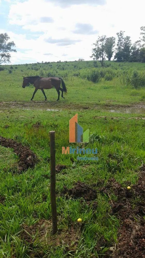 Terreno, 8 hectares - Foto 10