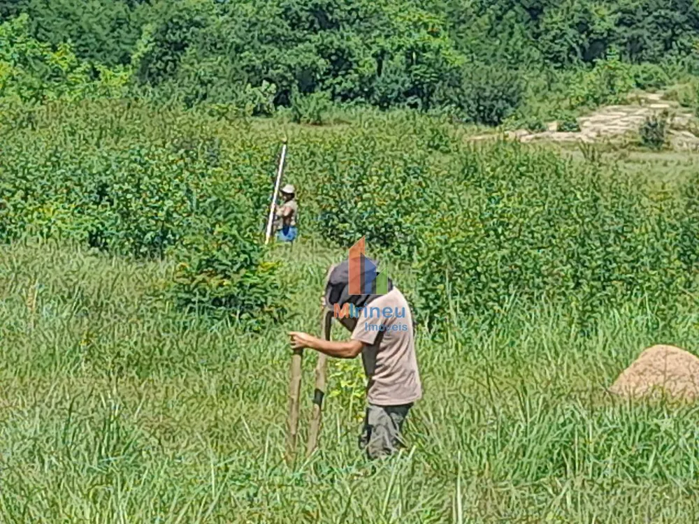 Terreno, 8 hectares - Foto 6