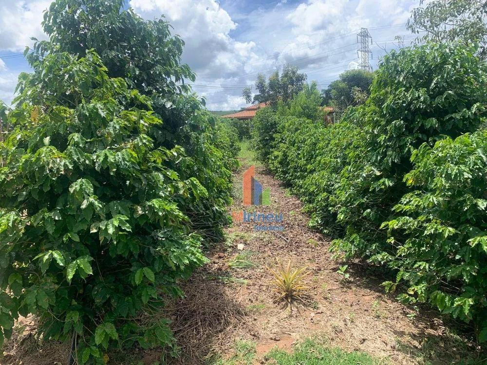 Sítio, 3 quartos, 4 hectares - Foto 1