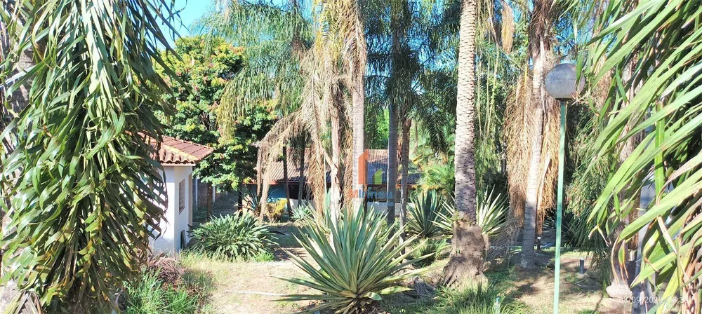 Terreno, 4000 m² - Foto 4