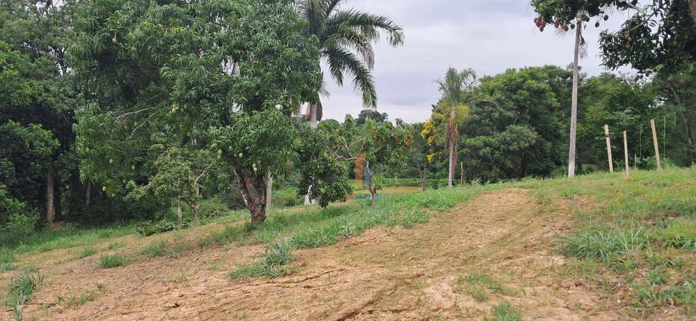 Terreno, 5 hectares - Foto 11