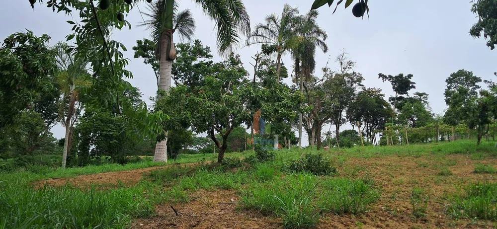 Terreno, 5 hectares - Foto 9