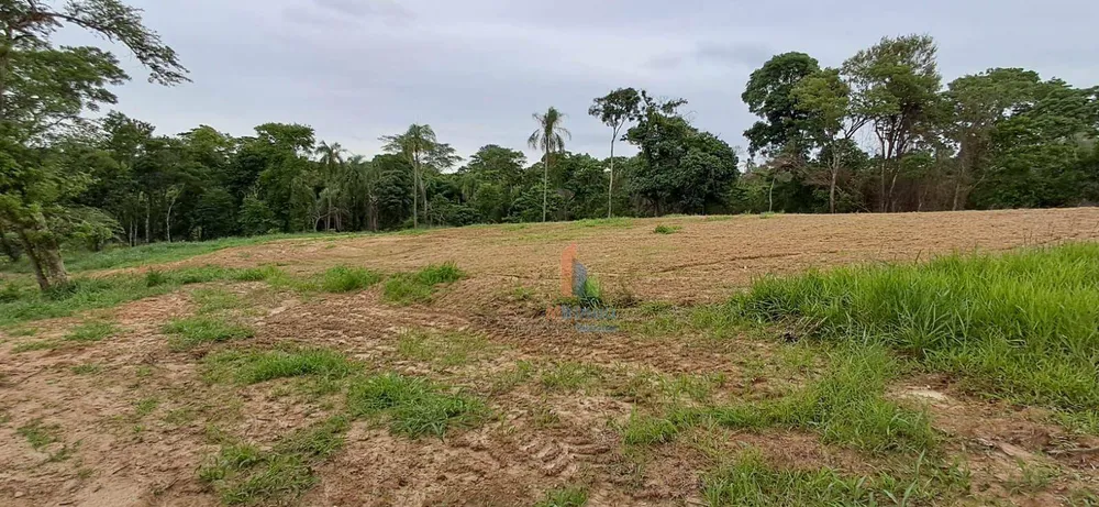 Terreno, 5 hectares - Foto 3