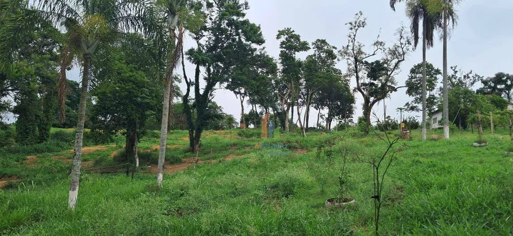 Terreno, 5 hectares - Foto 10