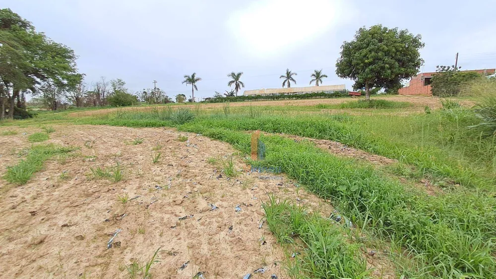 Terreno, 5 hectares - Foto 1