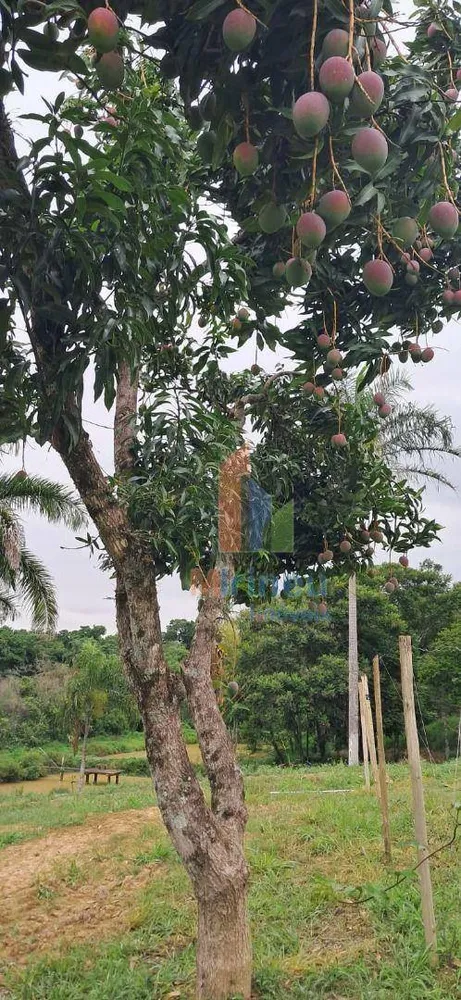 Terreno, 5 hectares - Foto 8