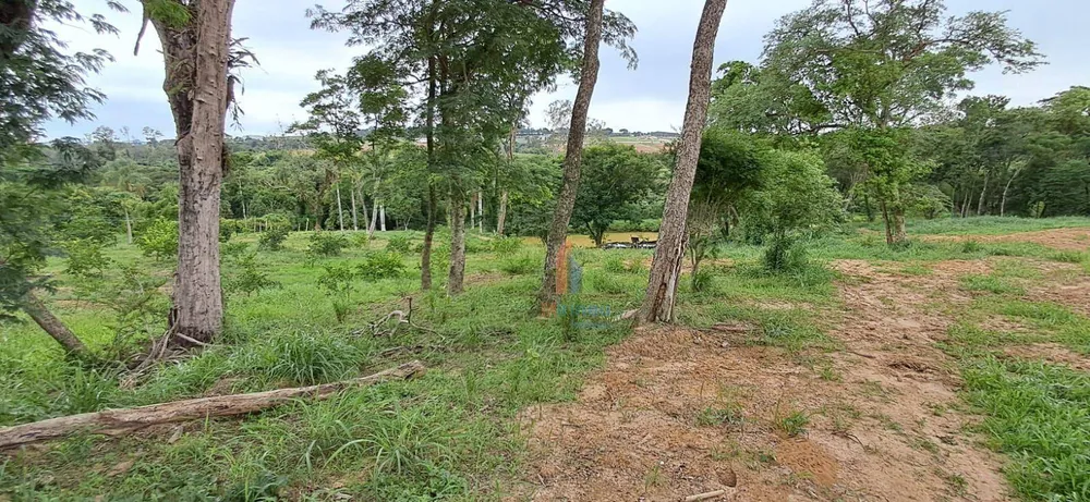 Terreno, 5 hectares - Foto 4
