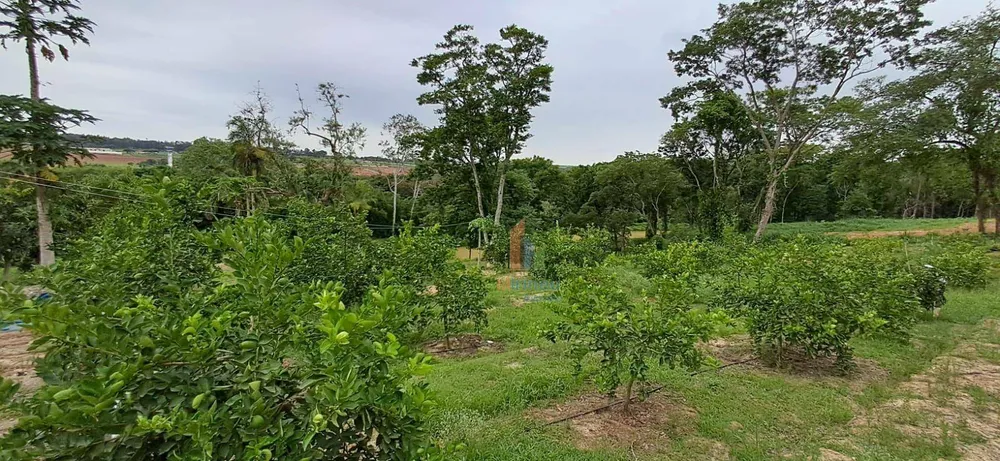 Terreno, 5 hectares - Foto 6