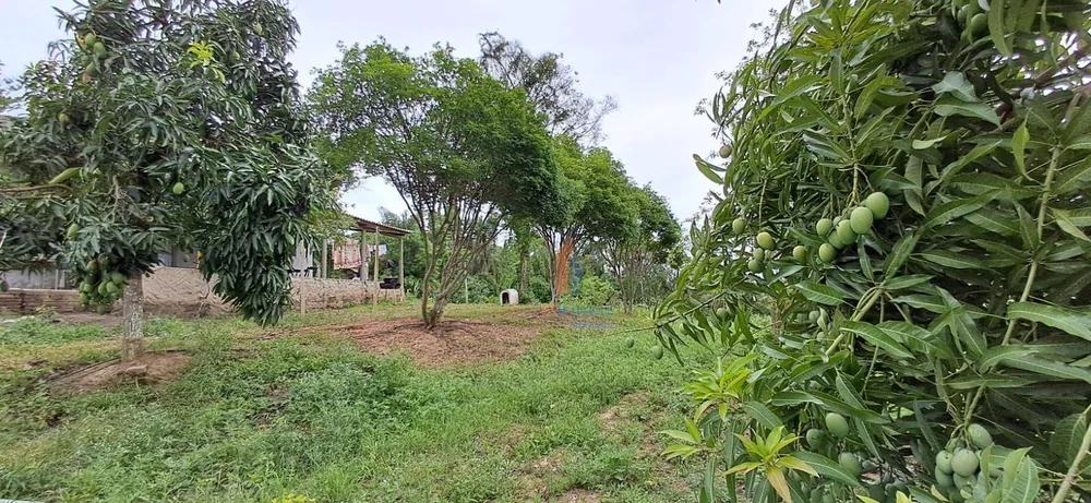 Terreno, 5 hectares - Foto 7
