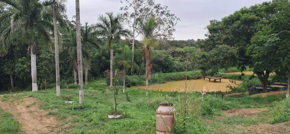 Terreno, 5 hectares - Foto 12