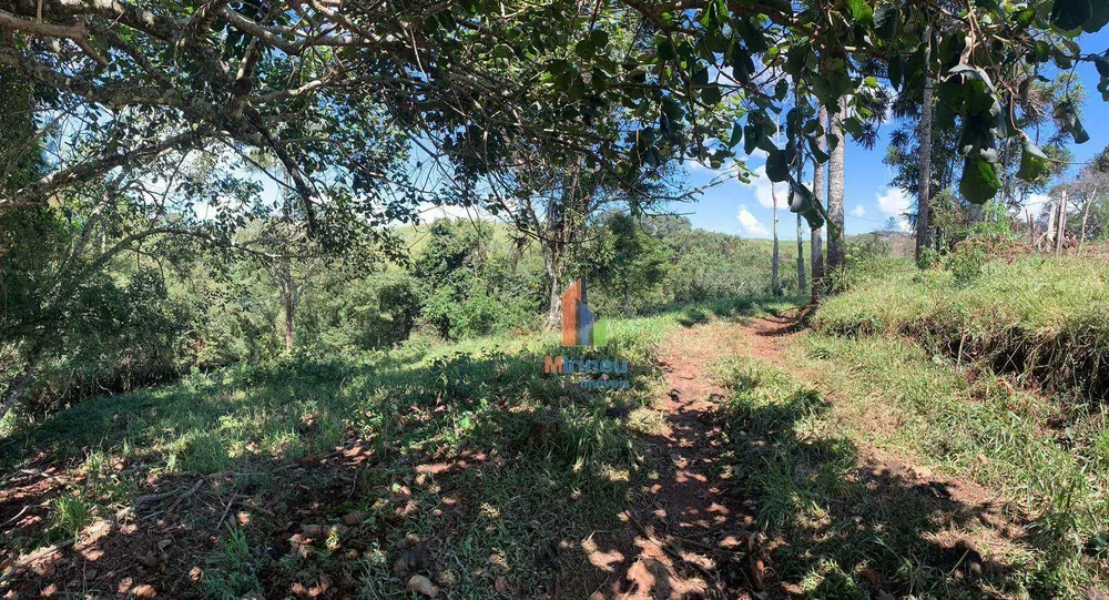 Sítio, 13 hectares - Foto 11