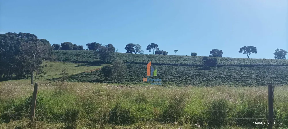 Sítio, 13 hectares - Foto 7