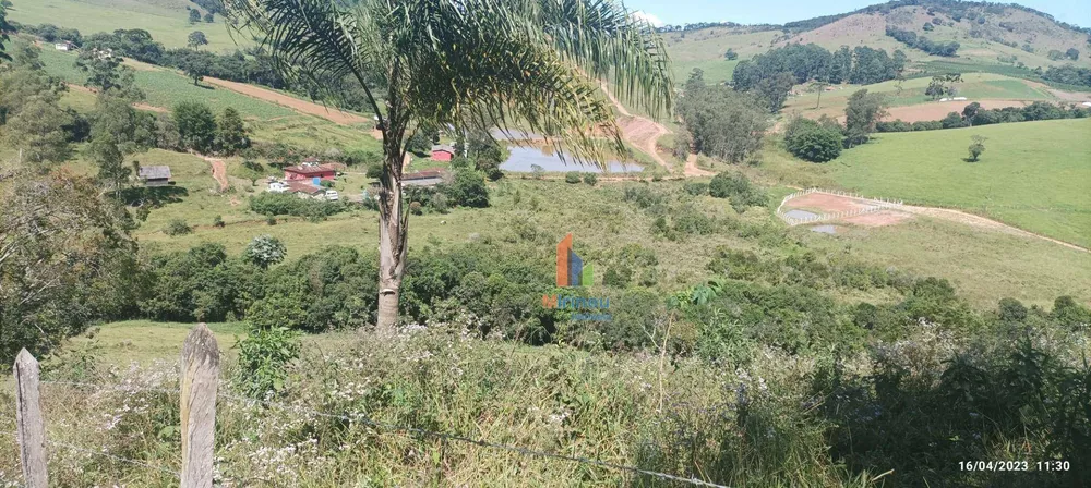 Sítio, 13 hectares - Foto 9