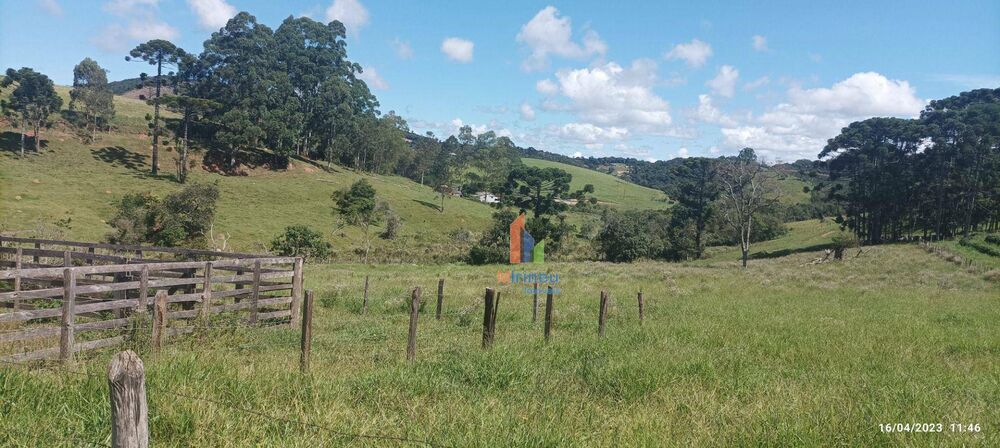Sítio, 13 hectares - Foto 3