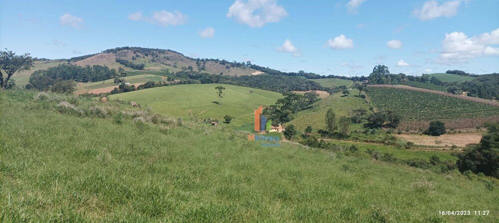 Sítio, 13 hectares - Foto 2