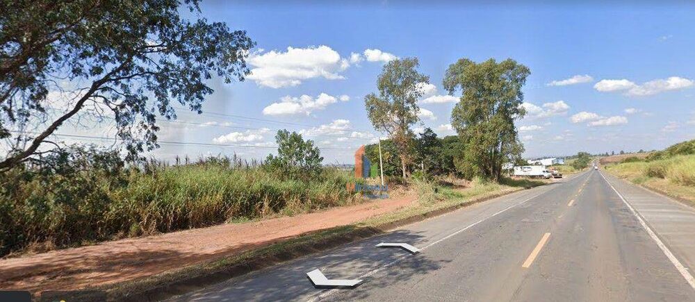 Sítio, 14 hectares - Foto 7