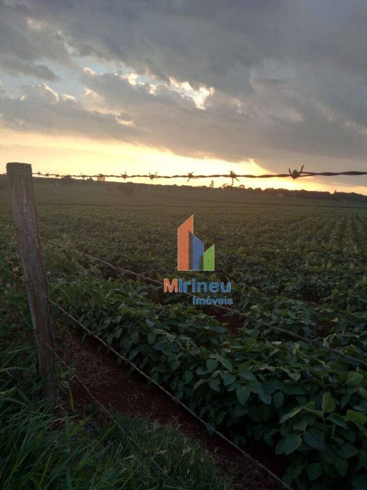 Sítio, 14 hectares - Foto 2