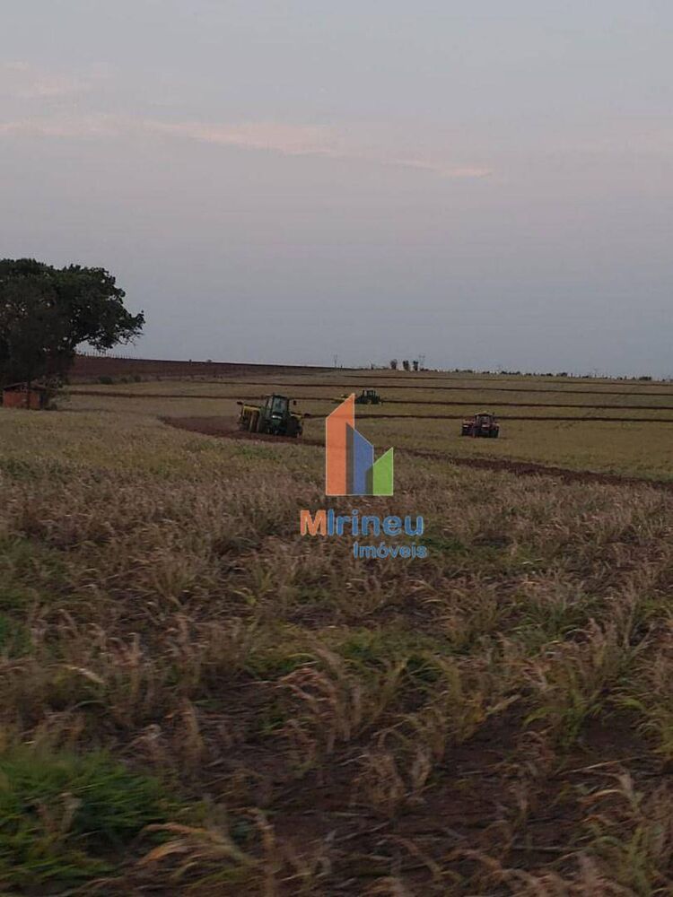 Sítio, 14 hectares - Foto 1