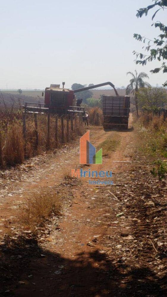 Sítio, 14 hectares - Foto 4