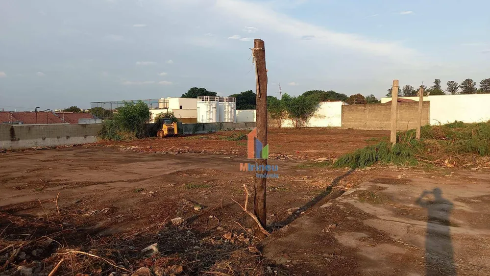 Terreno, 10000 m² - Foto 8