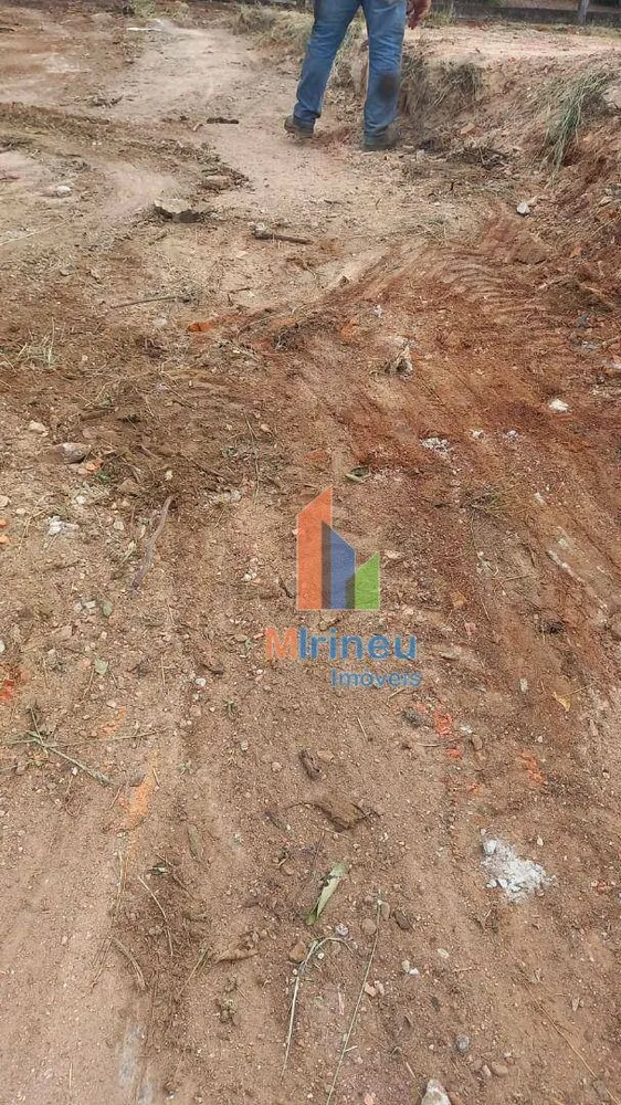 Terreno, 10000 m² - Foto 10