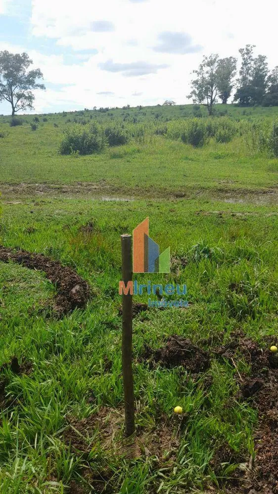 Terreno, 22 hectares - Foto 8