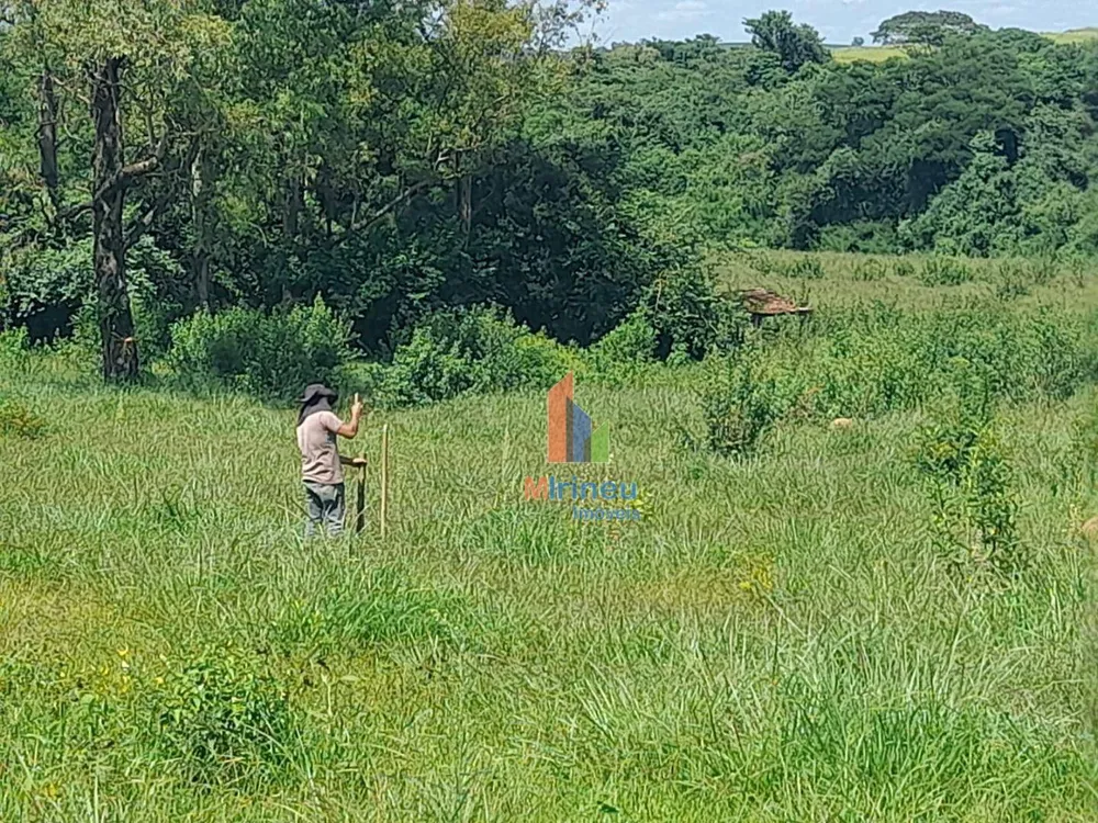 Terreno, 22 hectares - Foto 6