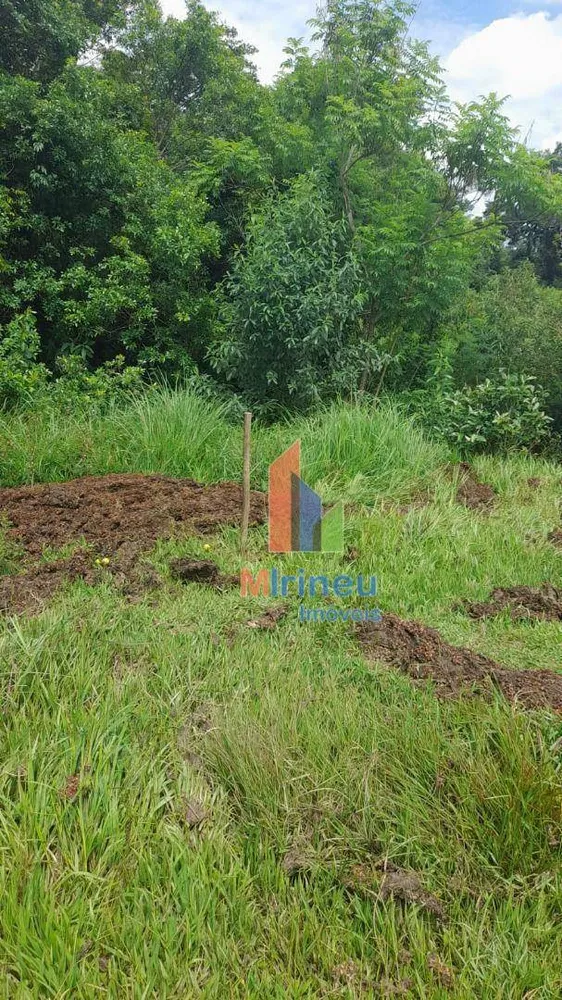 Terreno, 22 hectares - Foto 9