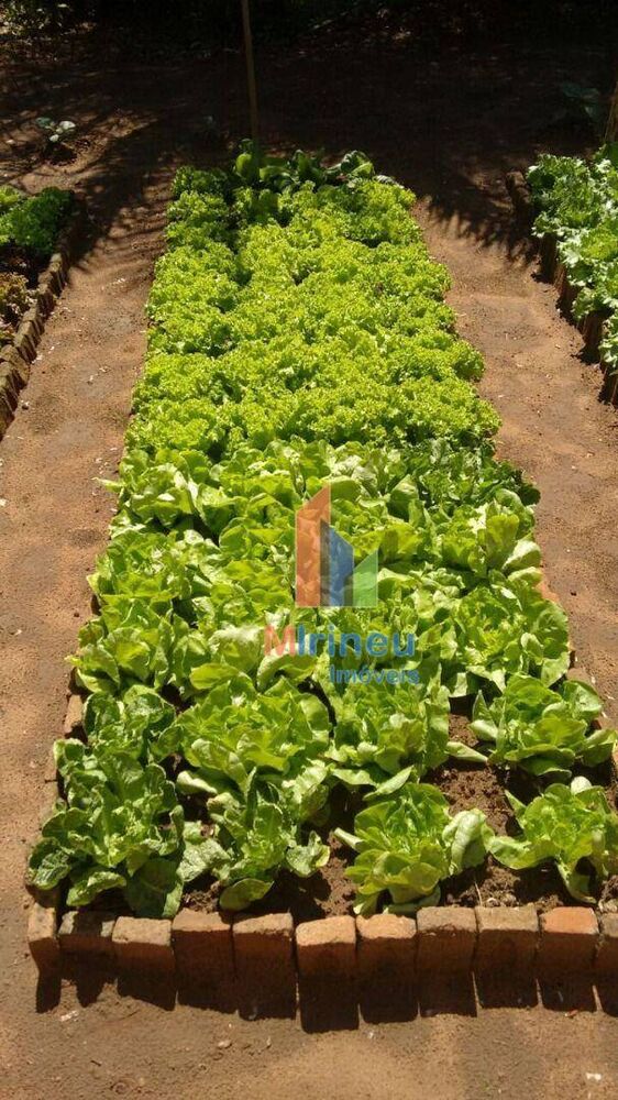 Chácara, 1 quarto, 3000 m² - Foto 7